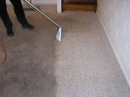 fresh carpets
